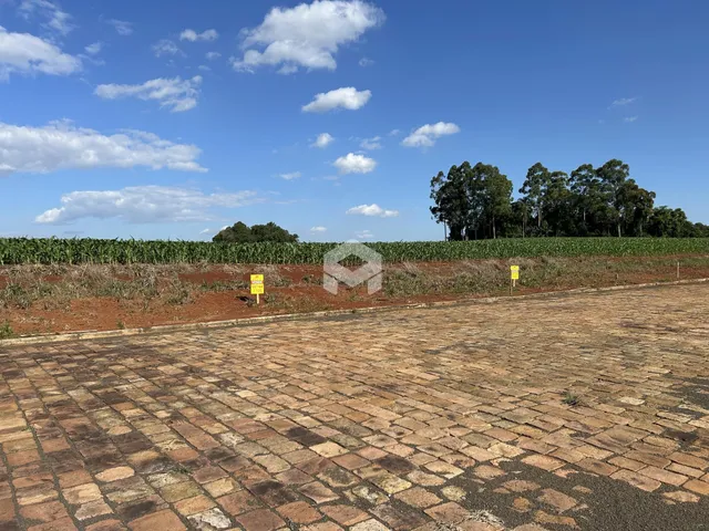 Vista da área pavimentada de uma propriedade com vegetação ao fundo.