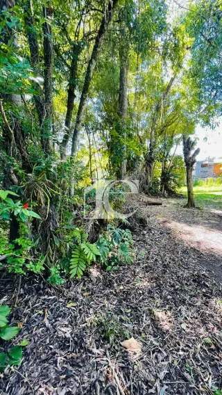 Terreno, foto 14