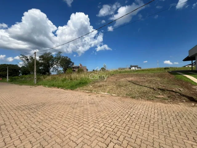 Terreno, foto 3