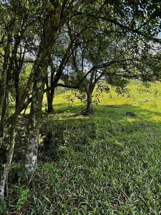 Área rural, foto 5