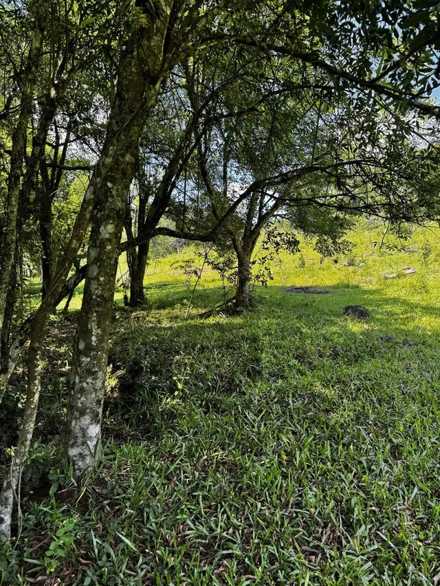 Área rural, foto 5