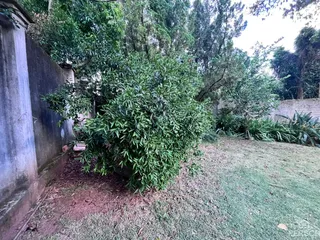 Casa com 3 dormitórios, foto 19