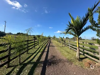 Área rural com 2 dormitórios, foto 8