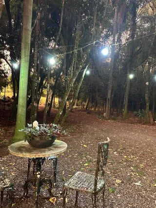 Área rural com 3 dormitórios, foto 17
