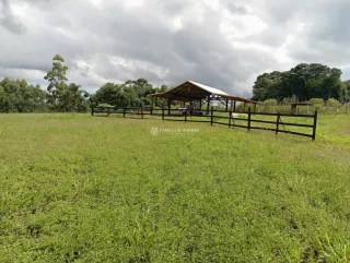 Vista de um campo gramado com cerca de madeira.