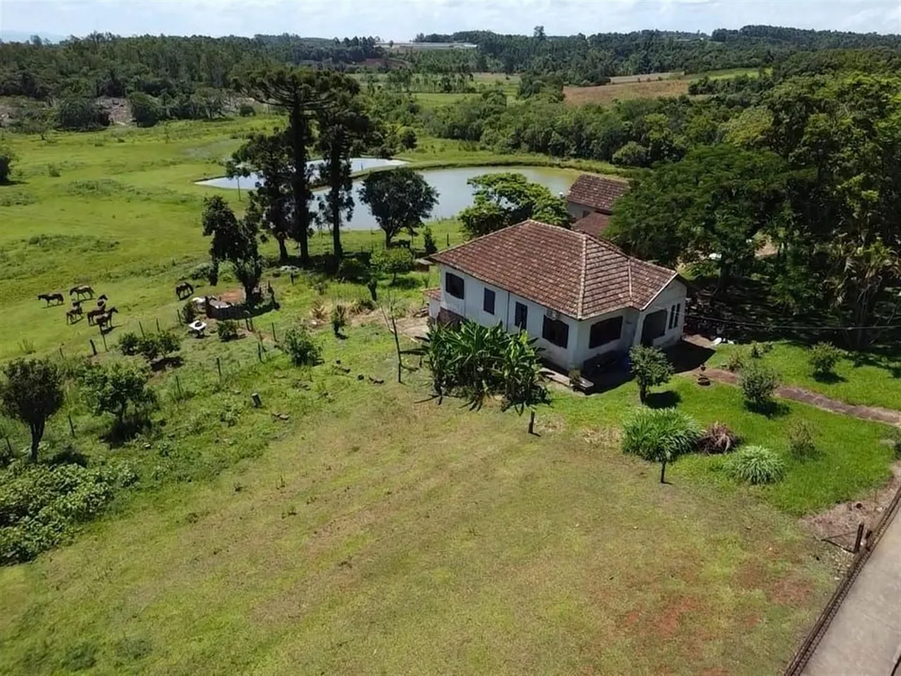 Área rural com 6 dormitórios, foto 1