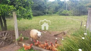 Área rural com 3 dormitórios, foto 16