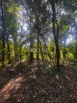 Área rural, foto 9