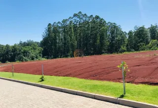 Terreno, foto 11