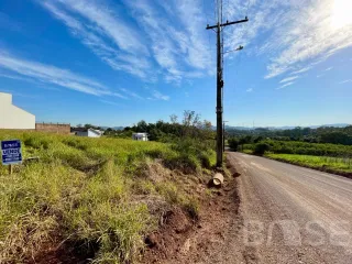 Terreno, foto 2