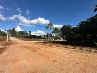 Vista da propriedade com estrada de terra no campo.