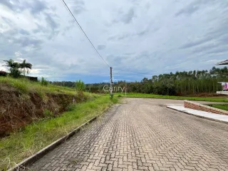 Terreno, foto 3