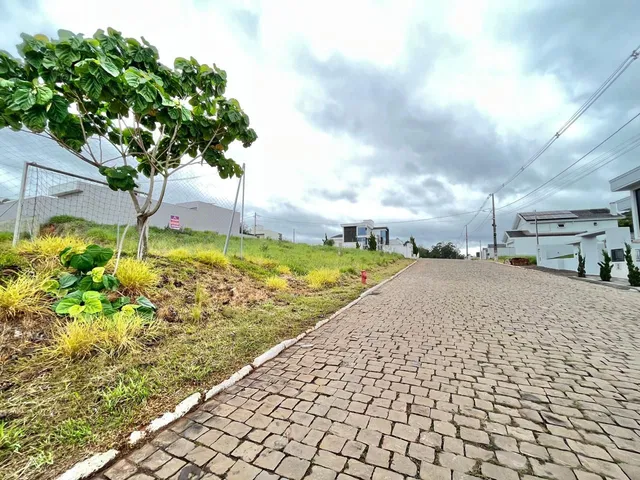 Terreno, foto 3