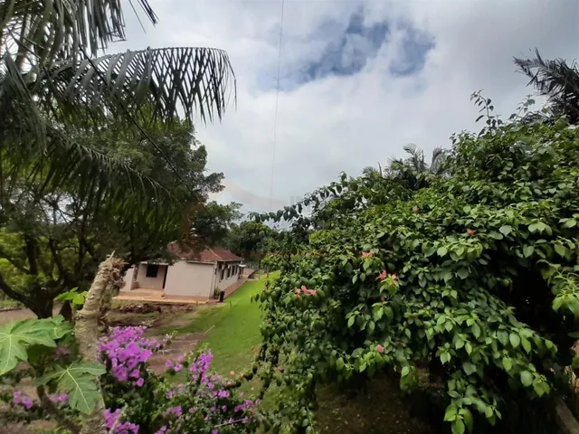 Área rural com 4 dormitórios, foto 5