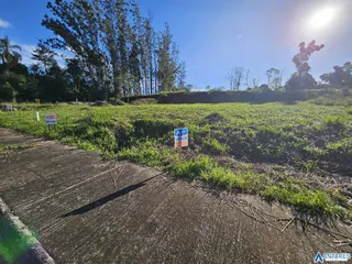 Terreno, foto 3