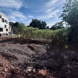Terreno, foto 2