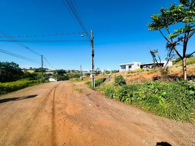 Uma estrada de terra se estende sob um céu azul claro.