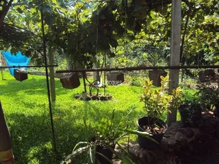 Área rural, foto 5