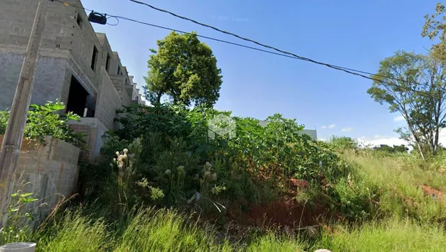 Fachada de uma construção em Lajeado, Brasil, com vegetação densa na frente.