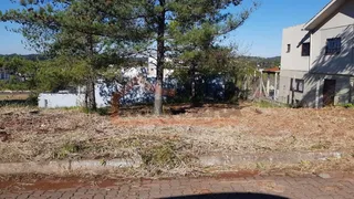Terreno, foto 1