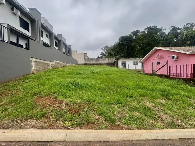 Terreno, foto 2