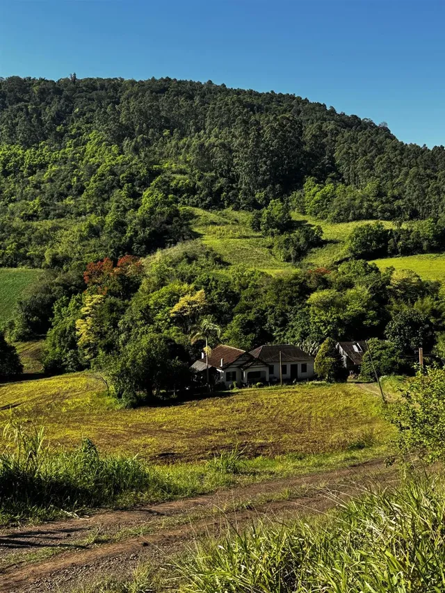 Área rural, foto 3