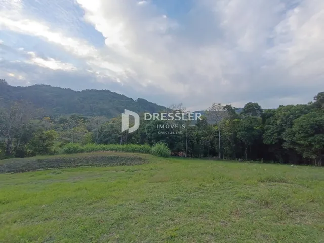 Uma paisagem de campo com vegetação densa ao fundo.
