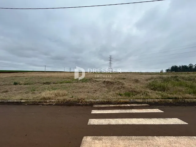 Campo aberto com grama seca e uma estrada no primeiro plano.