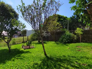 Jardim gramado com árvores e cerca no fundo da propriedade.