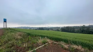 Terreno, foto 2