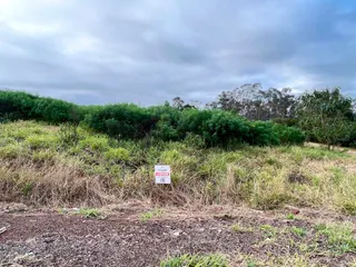 Terreno, foto 1