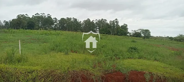 Terreno, foto 3