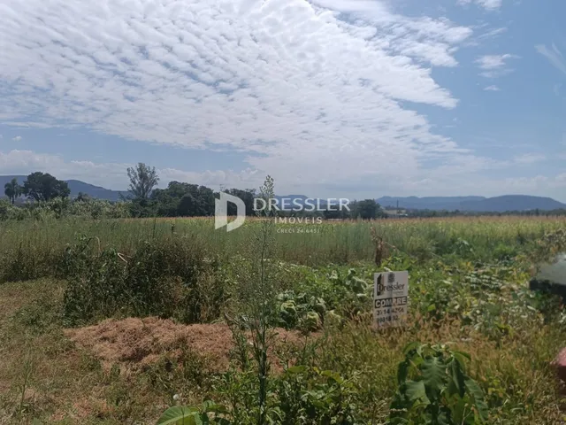 Paisagem de campo com vegetação densa sob um céu azul.
