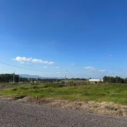 Vista de uma área aberta com vegetação seca e uma estrada de terra.