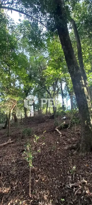 Área rural, foto 10