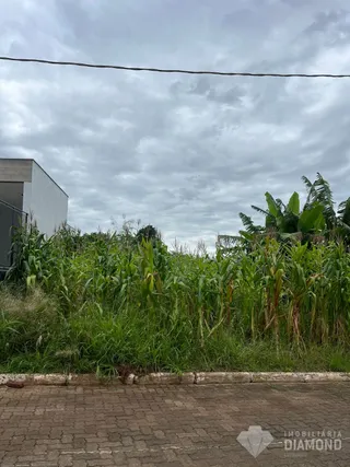 Terreno, foto 5