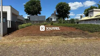 Vista externa de um terreno com vegetação seca.