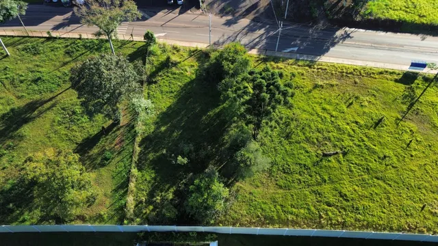 Vista aérea de uma área gramada com árvores ao lado de uma estrada.