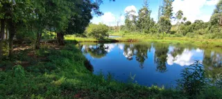 Área rural com 5 dormitórios, foto 9