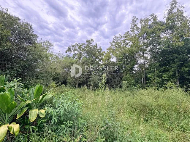 Área rural, foto 5
