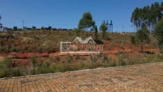 Terreno, foto 4