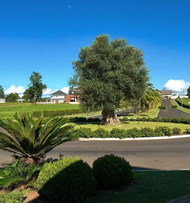 Terreno, foto 4