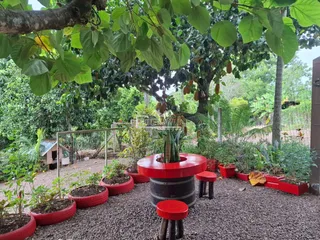 Área rural, foto 7