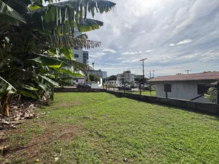 Terreno, foto 25