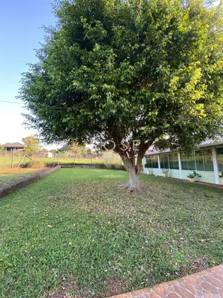Casa com 2 dormitórios, foto 13