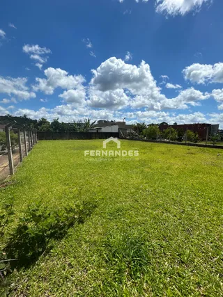Terreno, foto 3