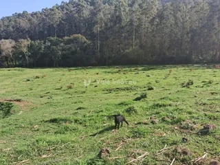 Área rural, foto 10