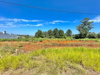 Vista de uma área de vegetação e campo sob um céu azul.
