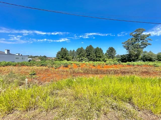 Vista de uma área de vegetação e campo sob um céu azul.