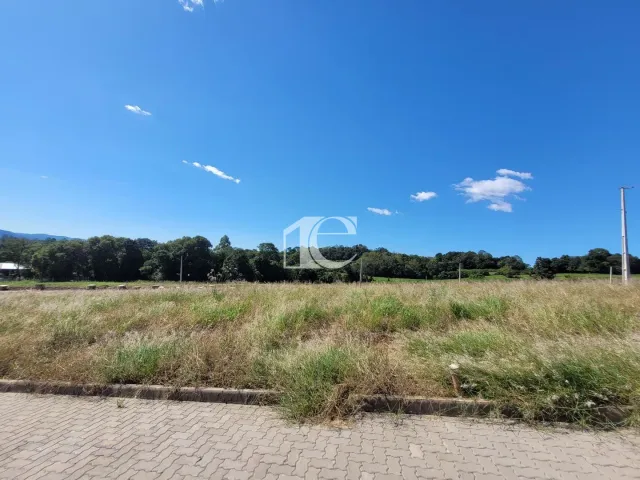 Terreno, foto 3